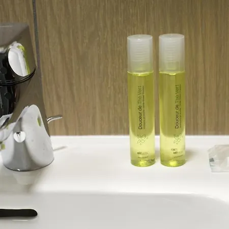 Brit Essentiel Arverne - Clermont-ferrand Sud 2* Aubière