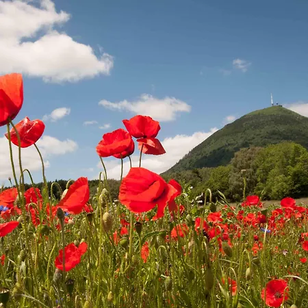 ホテル Brit Essentiel Arverne - Clermont-ferrand Sud 2*