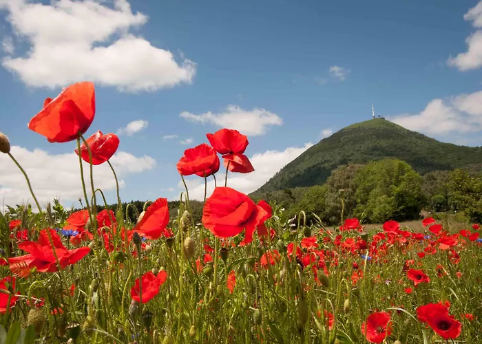 Hotel Brit Essentiel Arverne - Clermont-ferrand Sud 2*